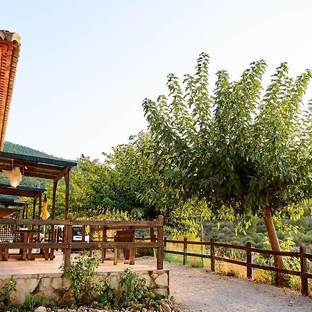 Casa Rural La Canal De Salem 外观 照片